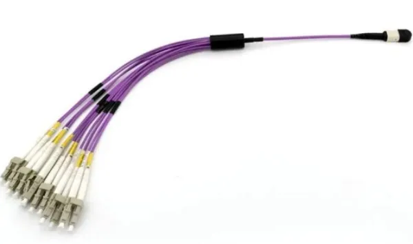 mtp breakout mtp breakout