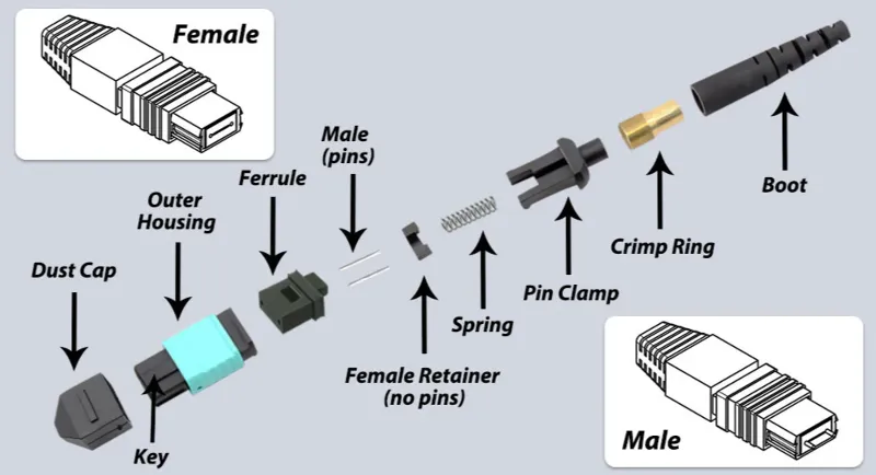 mtp breakout mtp breakout